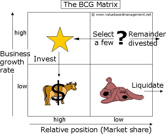 how to do a bcg matrix